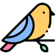 Birdle