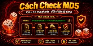 Hướng dẫn cách check mã MD5