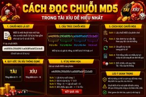 Cách đọc chuỗi MD5