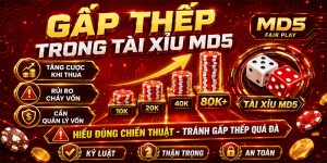 Gấp thếp trong tài xỉu MD5