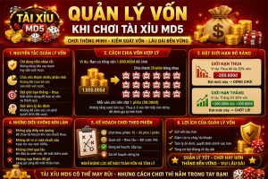 Quản lý vốn khi chơi tài xỉu MD5